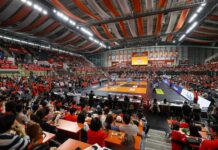 봄 배구 탈락에도 최종전 매진, ‘부산’ 연고지 이전 효과 OK : 네이트 스포츠